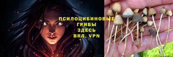 а пвп мука Алзамай