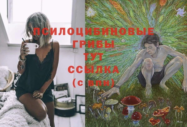 соль курить ск Алексеевка
